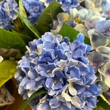 Hortensia snittblomma blå