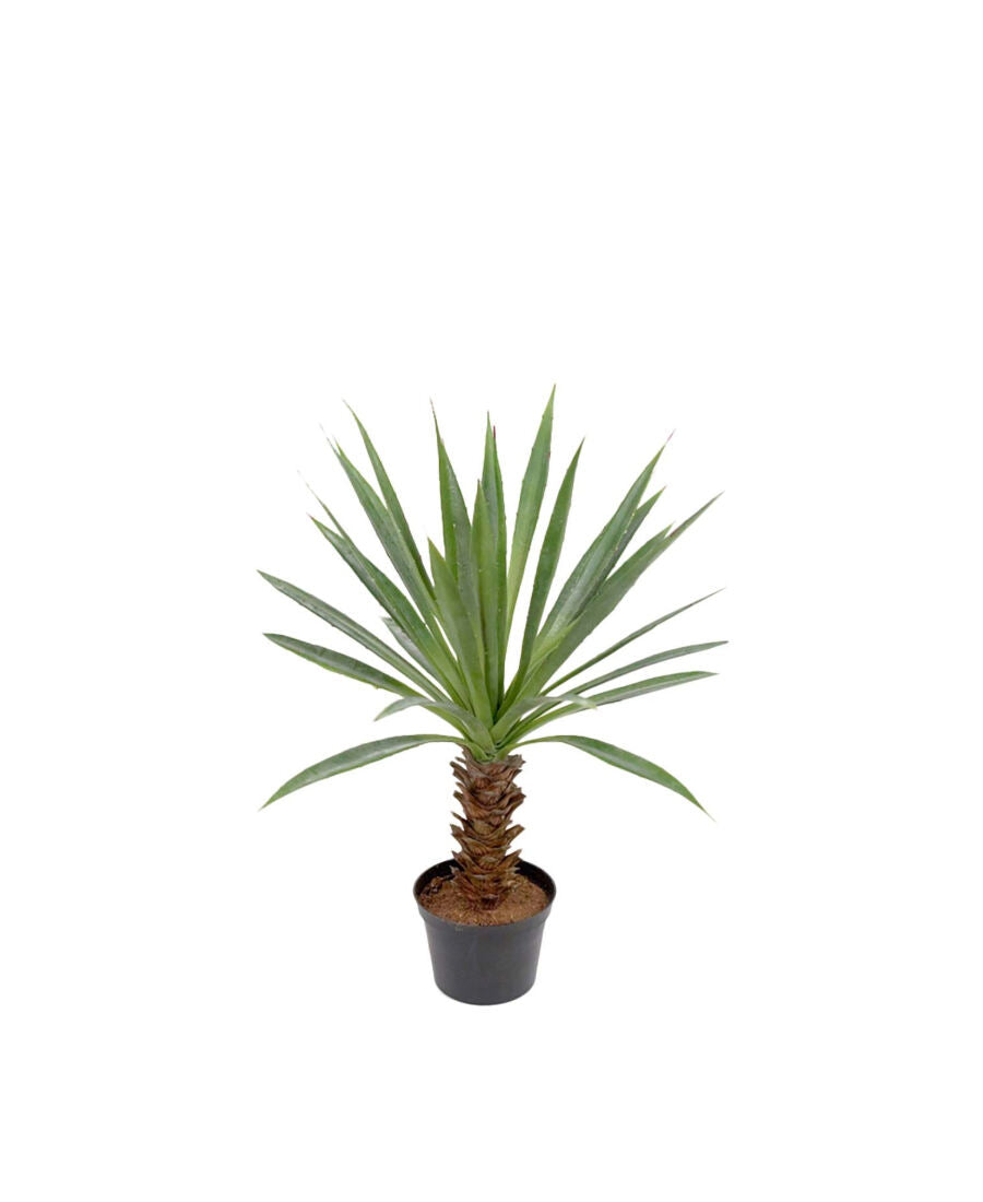 Agave konstväxt grön 40 cm