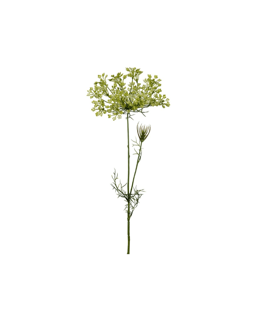 Allium snittblomma grön
