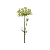 Allium snittblomma grön