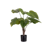 Alocasia konstväxt grön 60 cm