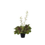 Alunrot konstträd vit 45 cm