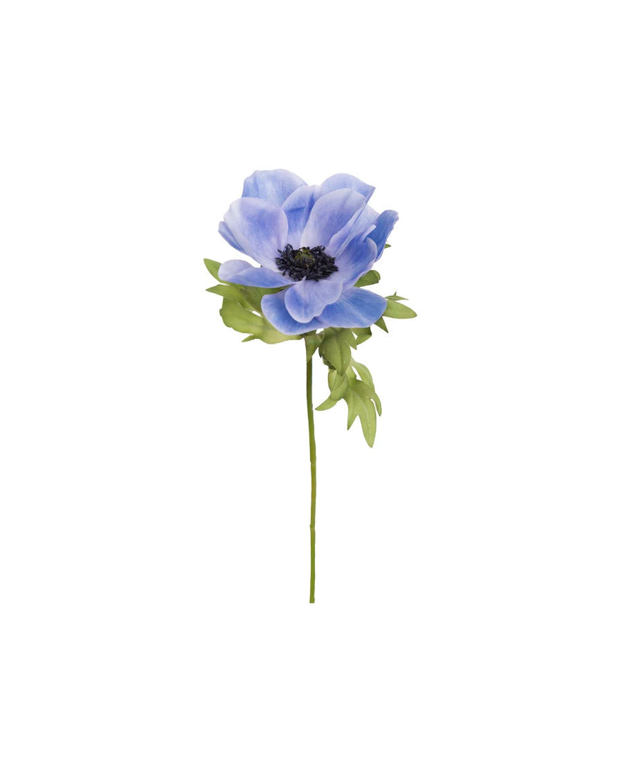 Anemon snittblomma blå 43 cm