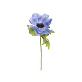 Anemon snittblomma blå 43 cm
