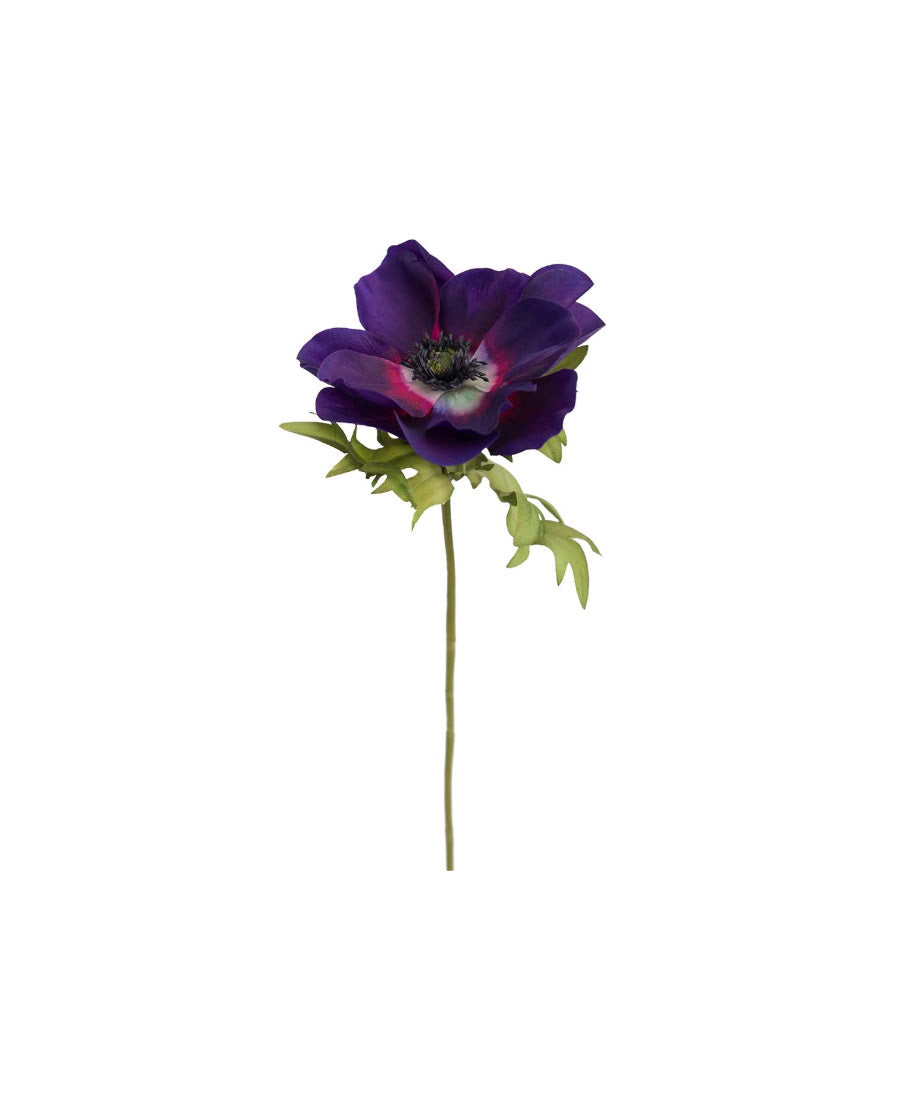 Anemon snittblomma mörkblå 43 cm
