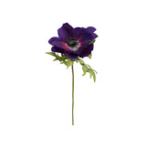 Anemon snittblomma mörkblå 43 cm