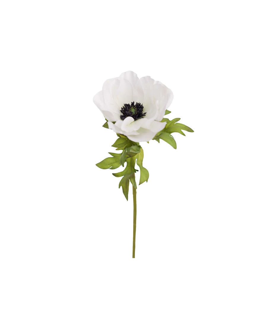 Anemon snittblomma vit 43 cm