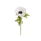 Anemon snittblomma vit 43 cm