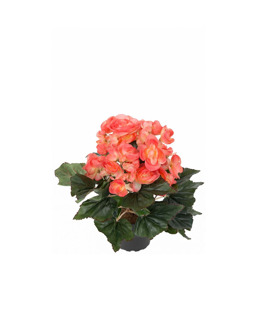 Begonia konstväxt orange 28 cm