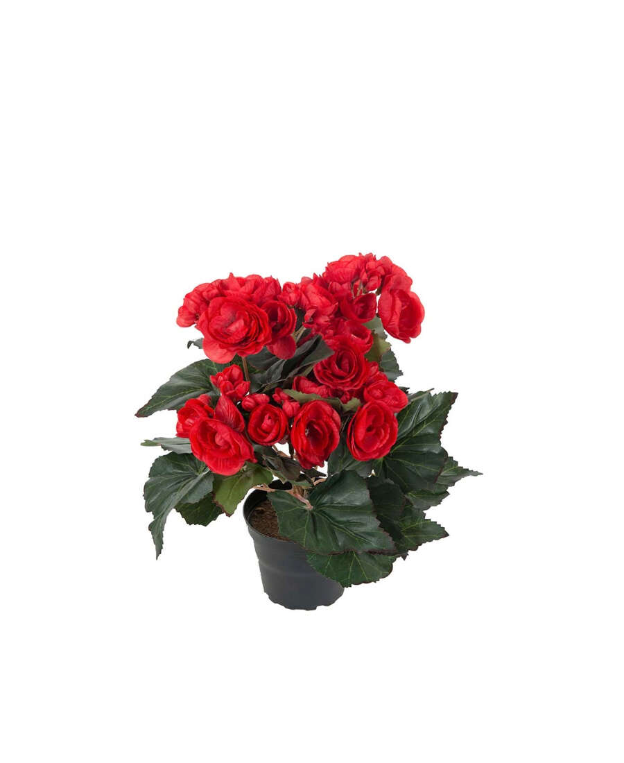 Begonia konstväxt röd 28 cm
