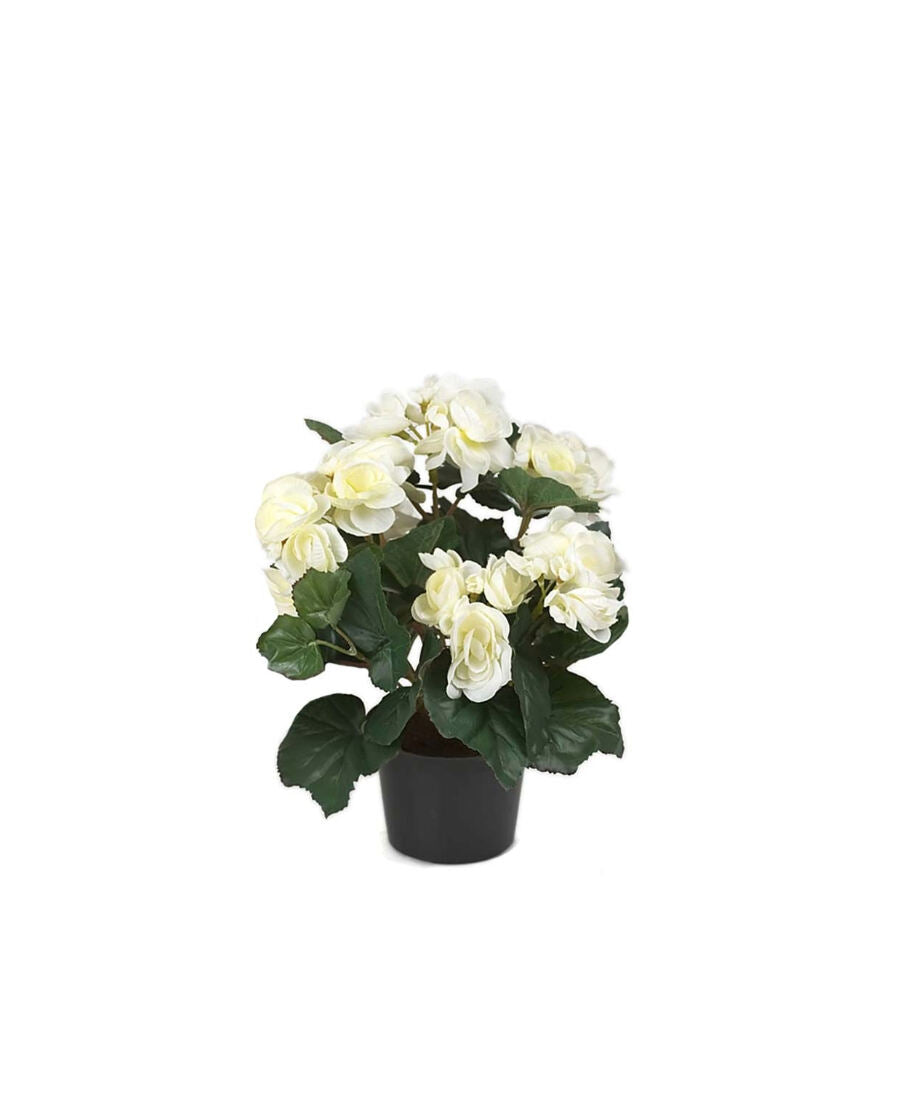 Begonia konstväxt vit 28 cm