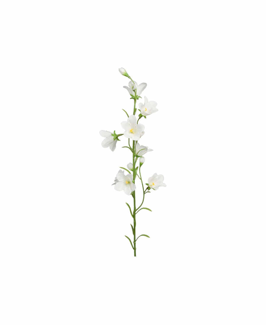 Blåklocka snittblomma vit