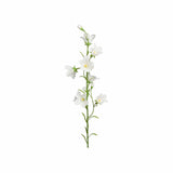 Blåklocka snittblomma vit