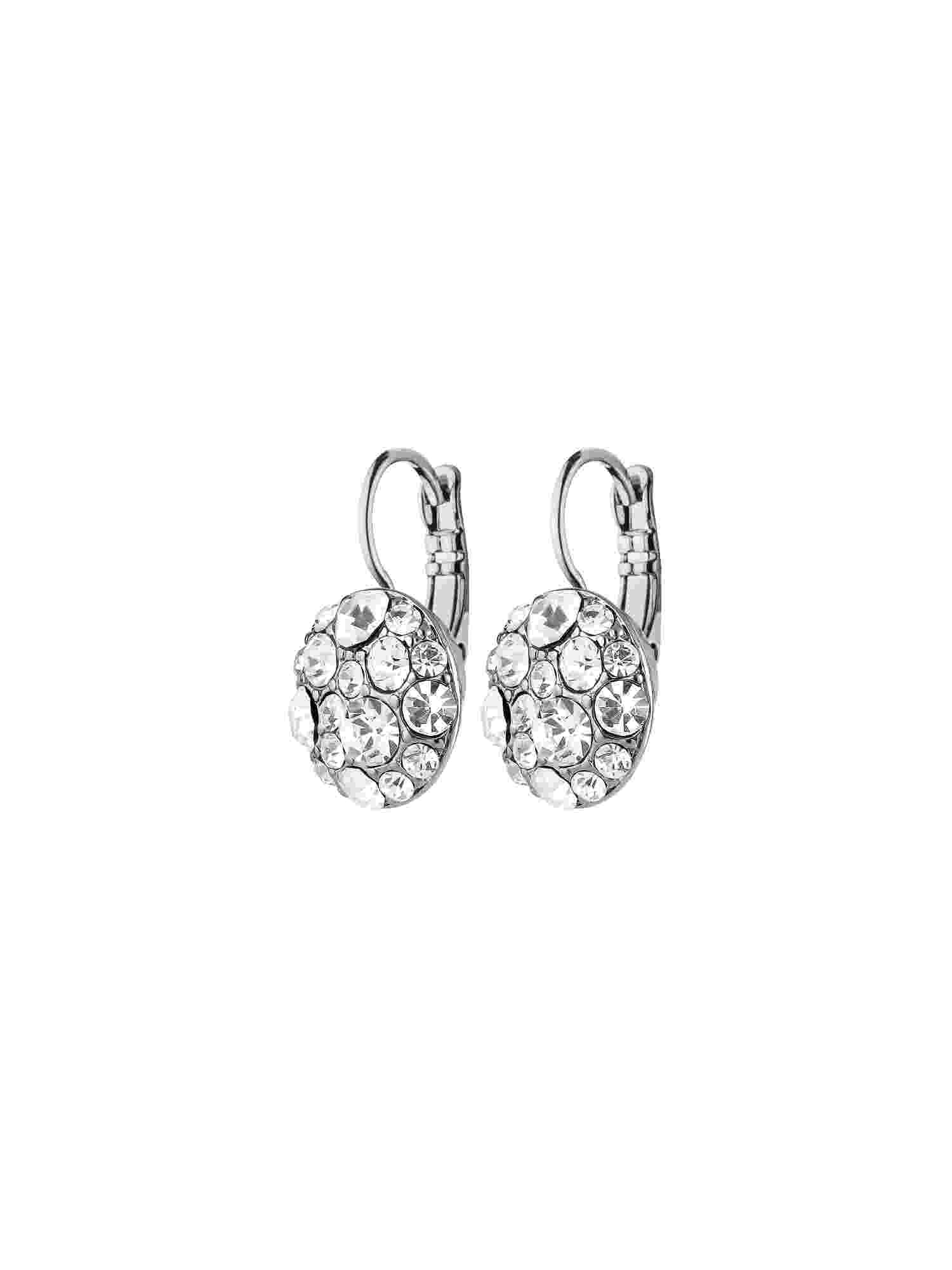 Blost örhängen silver/crystal