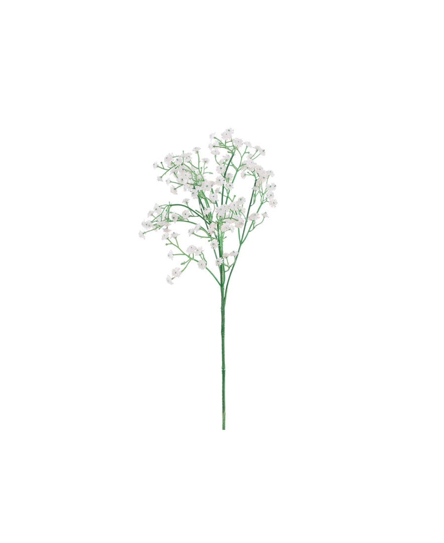 Brudslöja snittblomma vit 60 cm
