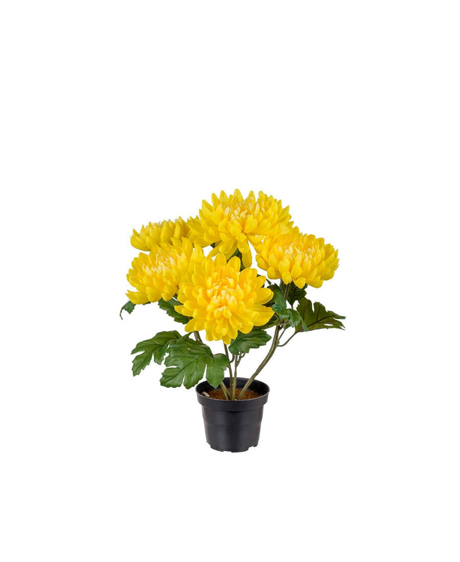 Chrysanthemum konstväxt gul 30 cm