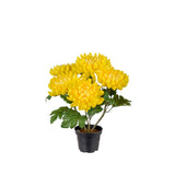 Chrysanthemum konstväxt gul 30 cm