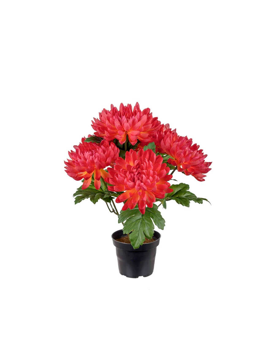 Chrysanthemum konstväxt korall 30 cm