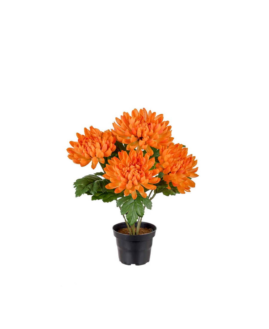 Chrysanthemum konstväxt orange 30 cm