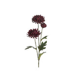 Chrysanthemum snittblomma röd