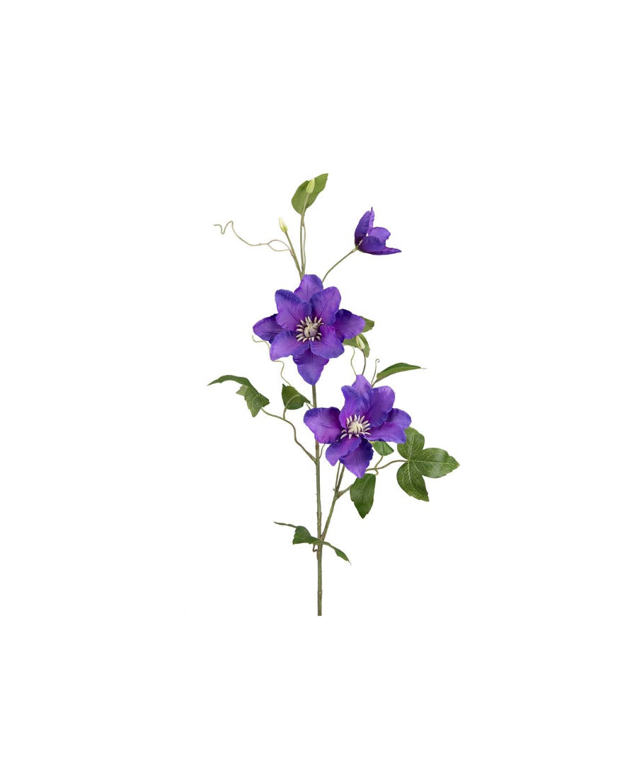 Clematis snittblomma blå 85 cm