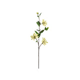 Clematis snittblomma grön 90 cm