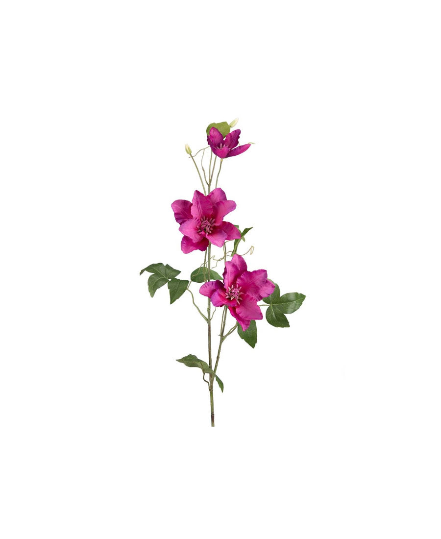Clematis snittblomma lila 85 cm