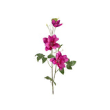 Clematis snittblomma lila 85 cm