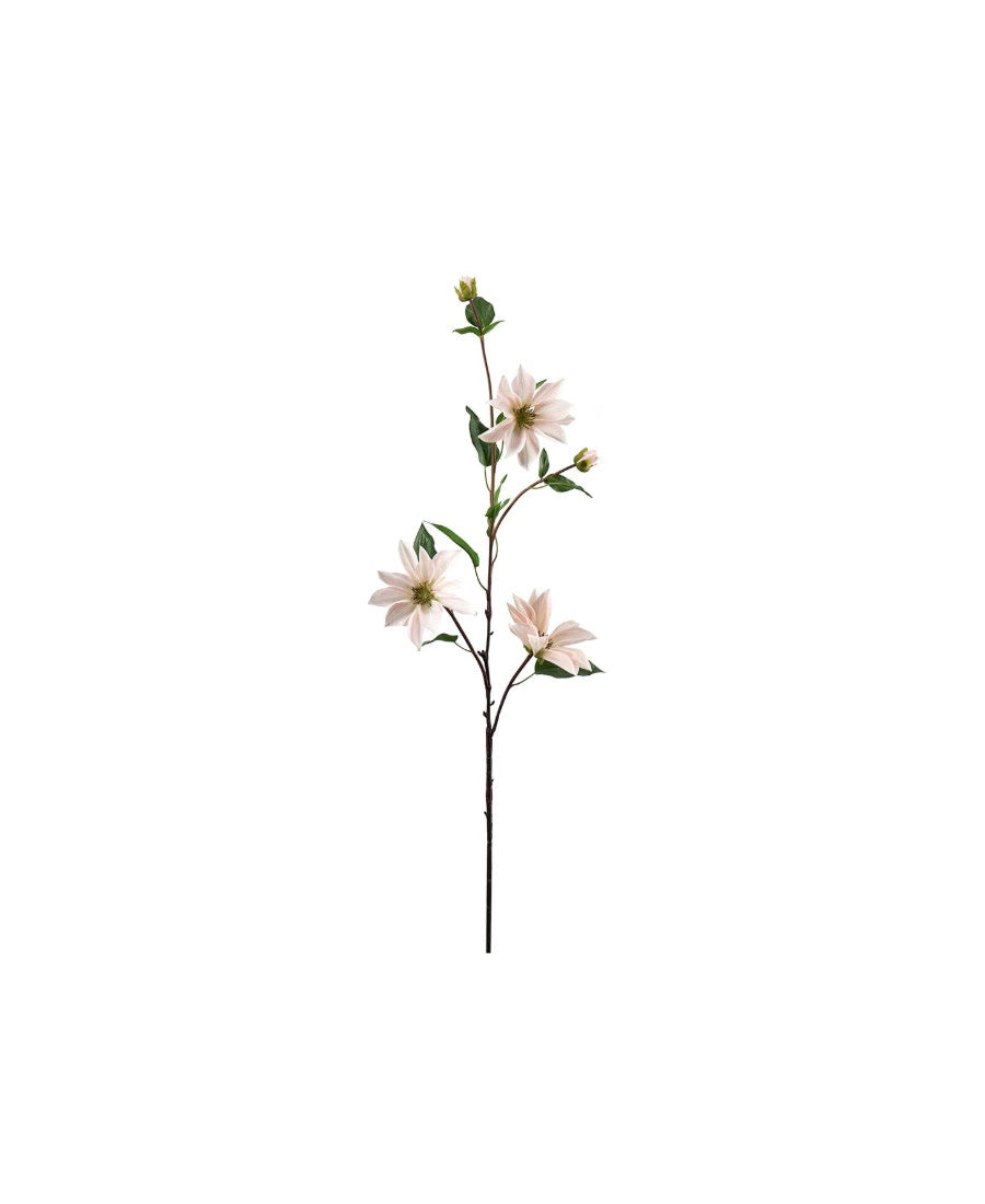 Clematis snittblomma ljusrosa 90 cm