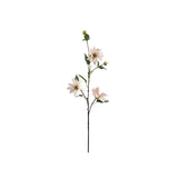 Clematis snittblomma ljusrosa 90 cm