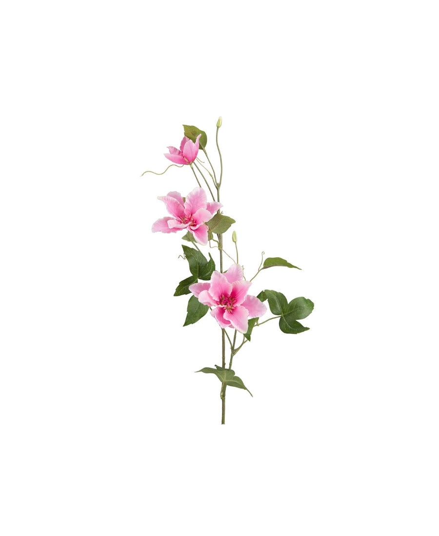 Clematis snittblomma rosa 85 cm