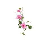Clematis snittblomma rosa 85 cm