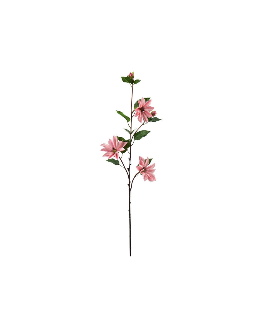 Clematis snittblomma rosa 90 cm