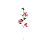 Clematis snittblomma rosa 90 cm