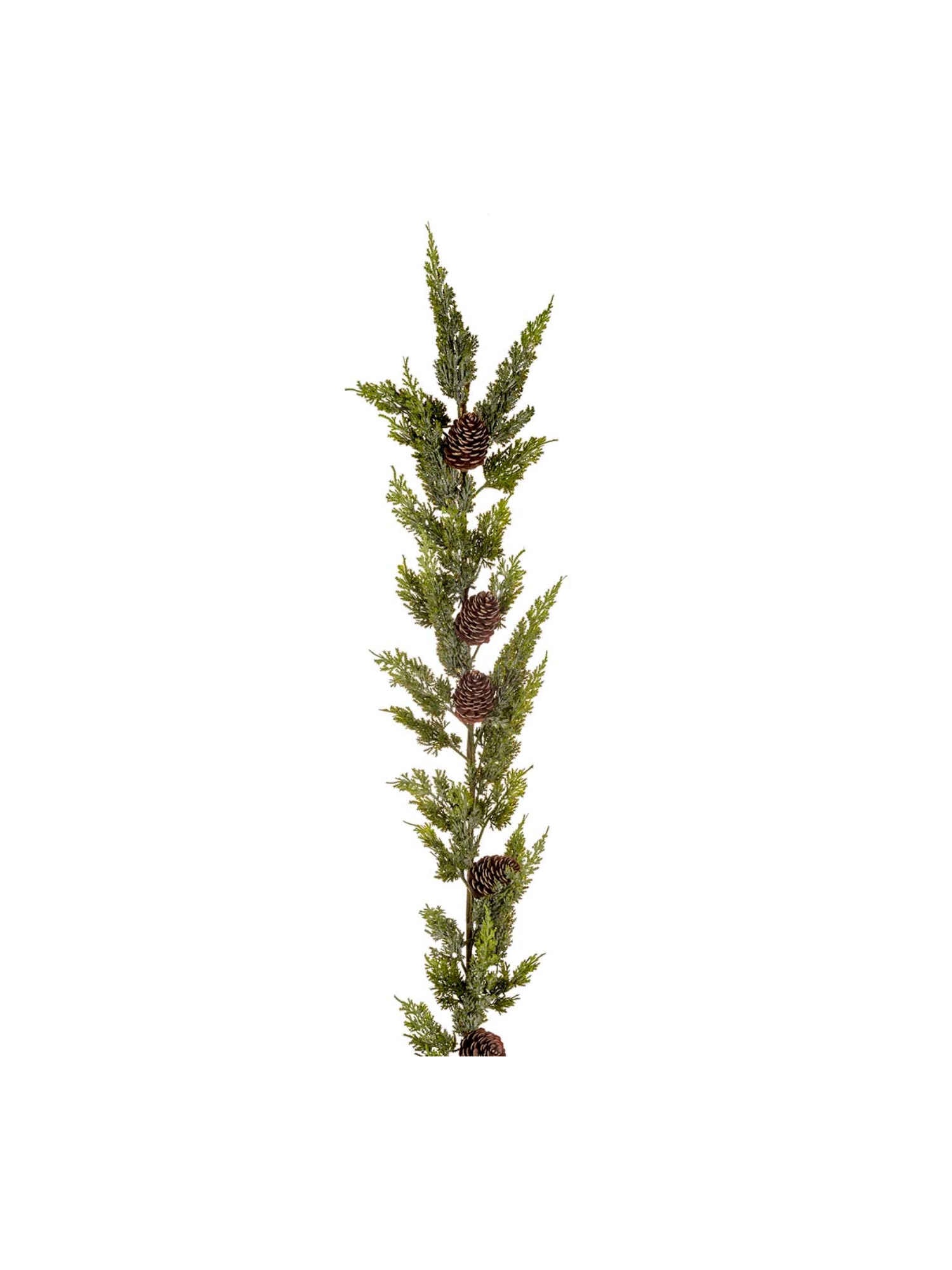 Cypress girlang med kottar