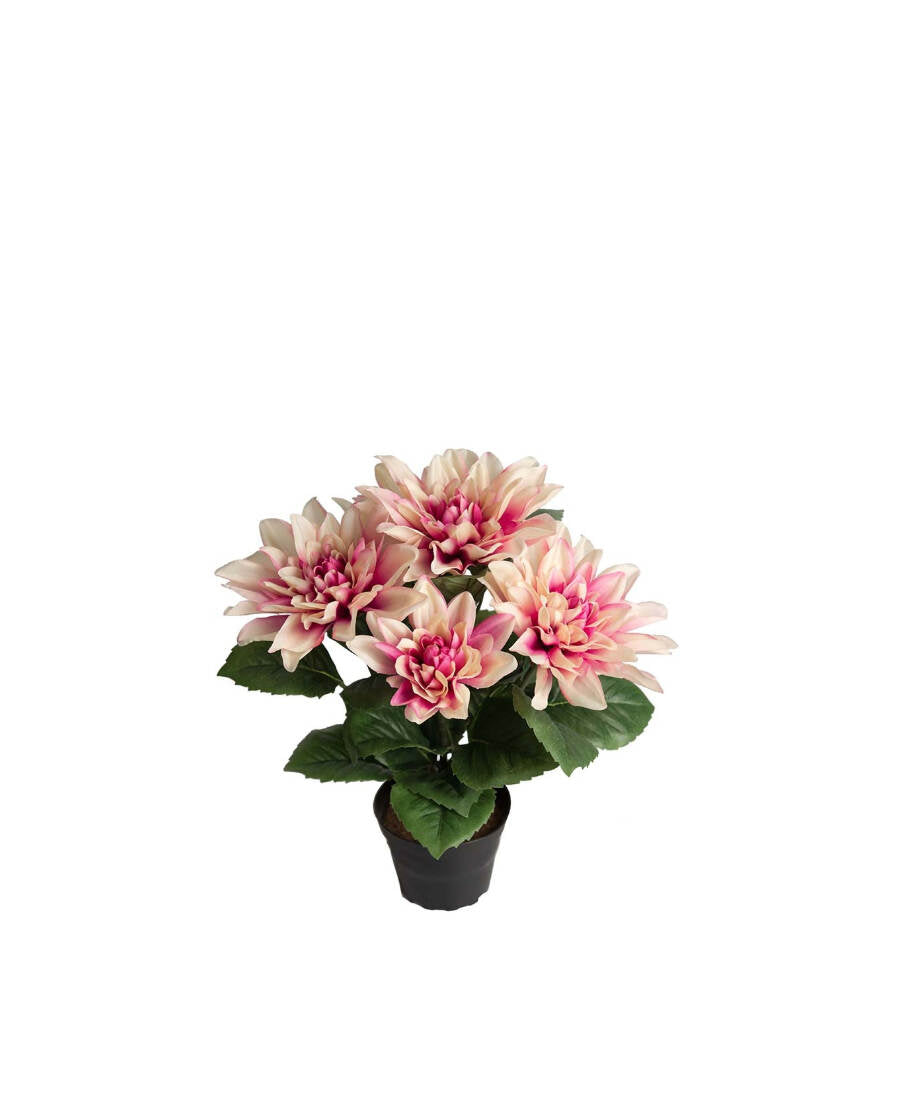 Dahlia konstväxt lila 30 cm