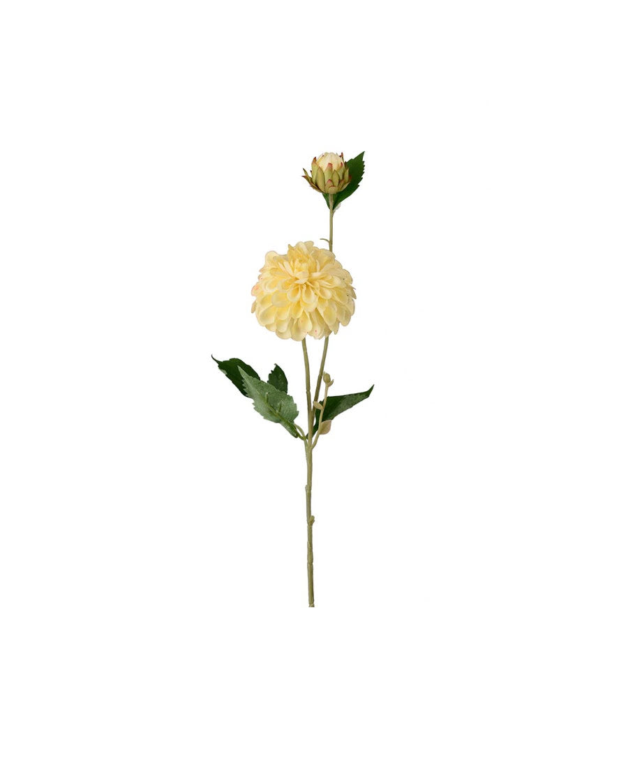 Dahlia snittblomma gul 66 cm