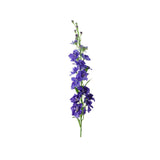 Delphinium snittblomma blå