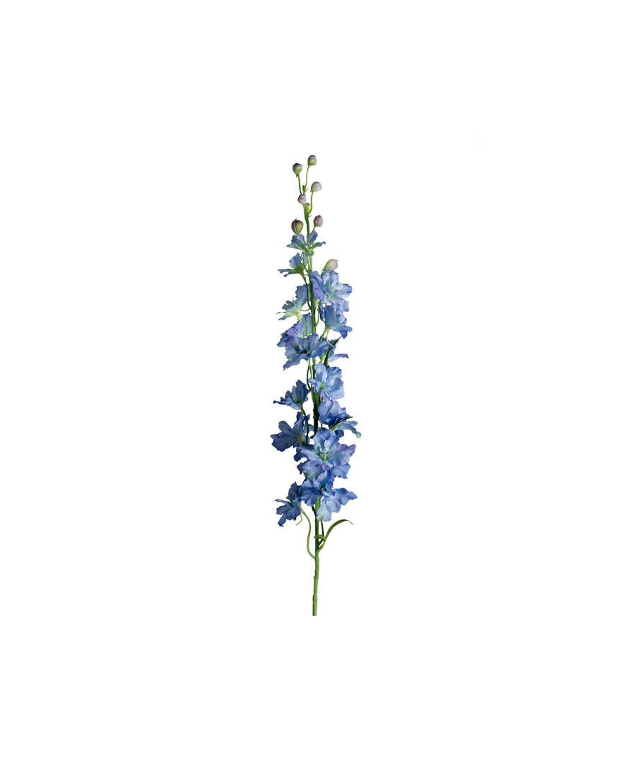 Delphinium snittblomma ljusblå