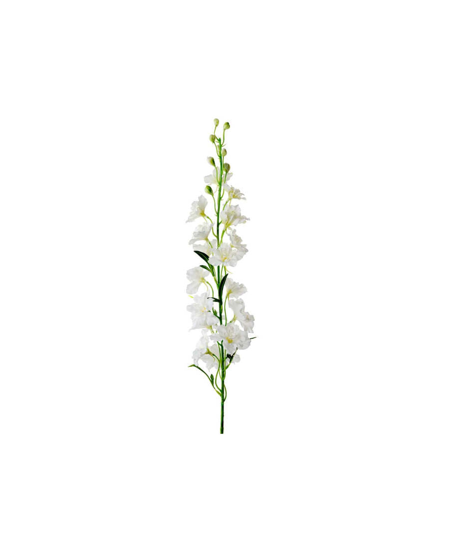 Delphinium snittblomma vit