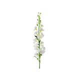 Delphinium snittblomma vit