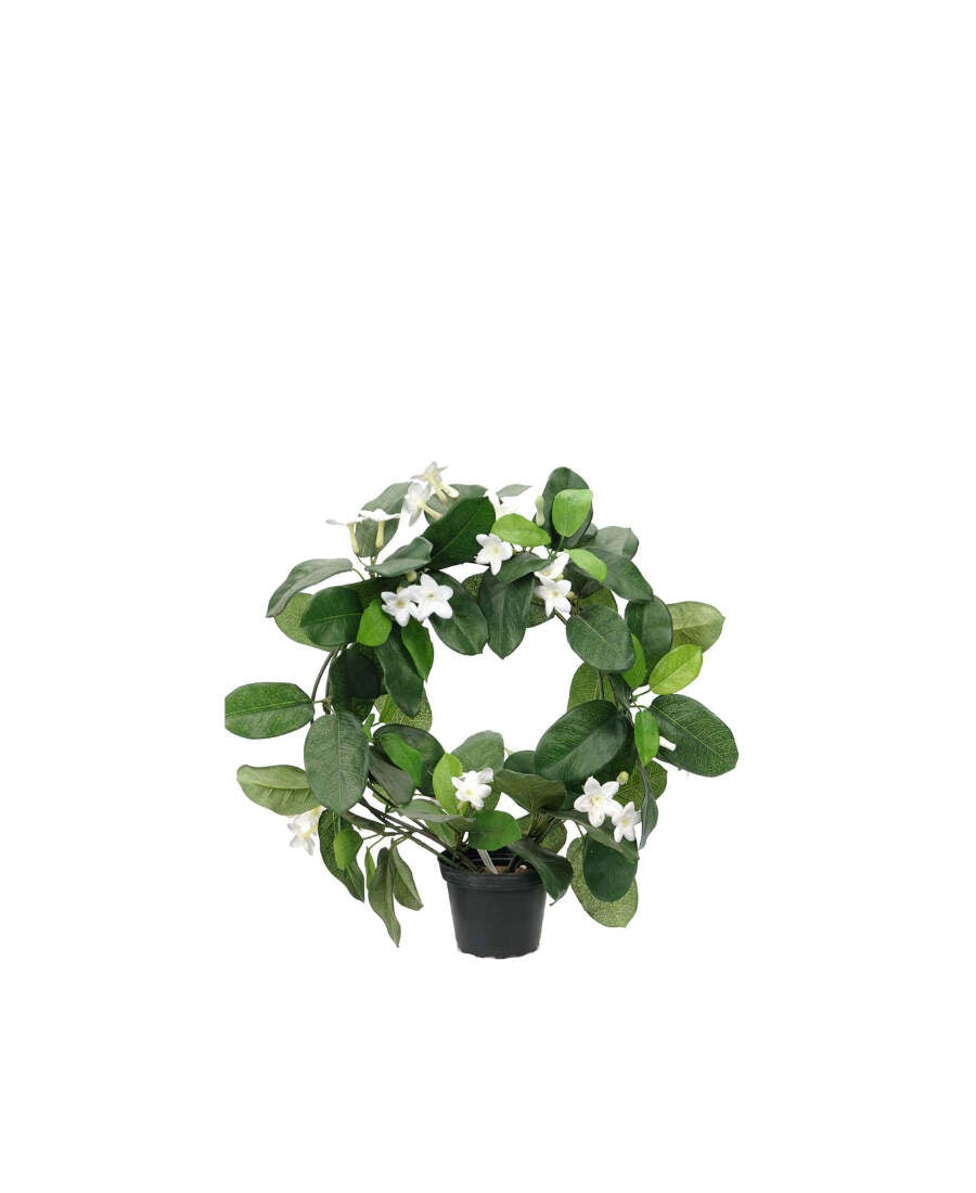 Doftranka konstväxt vit/grön 30 cm