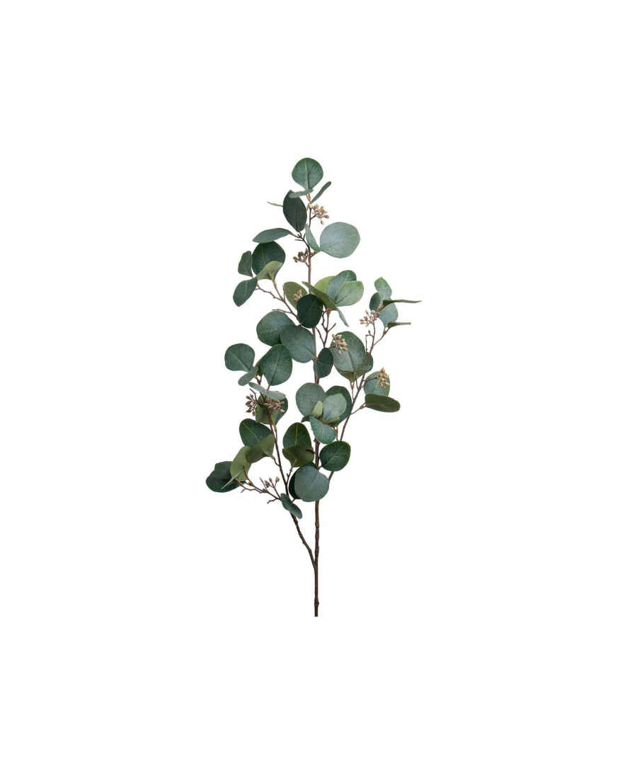 Eucalyptus snittblomma grön