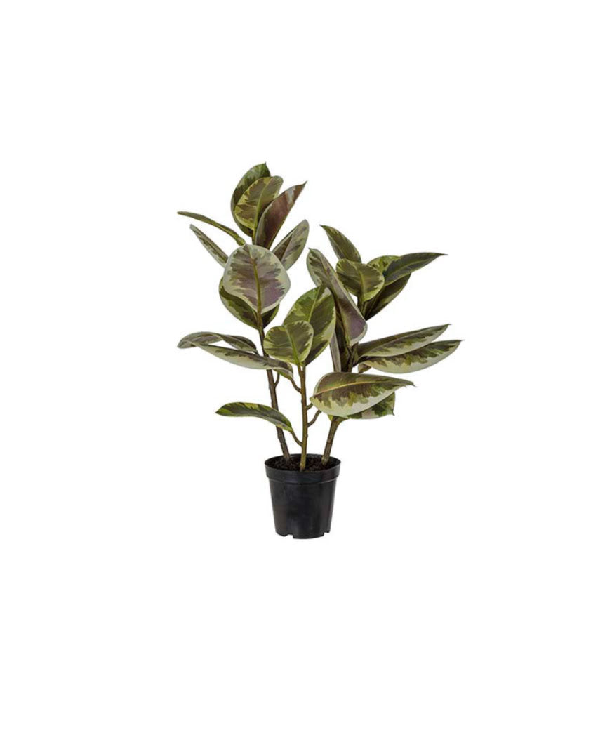 Fikus Elastica konstväxt grön 70 cm