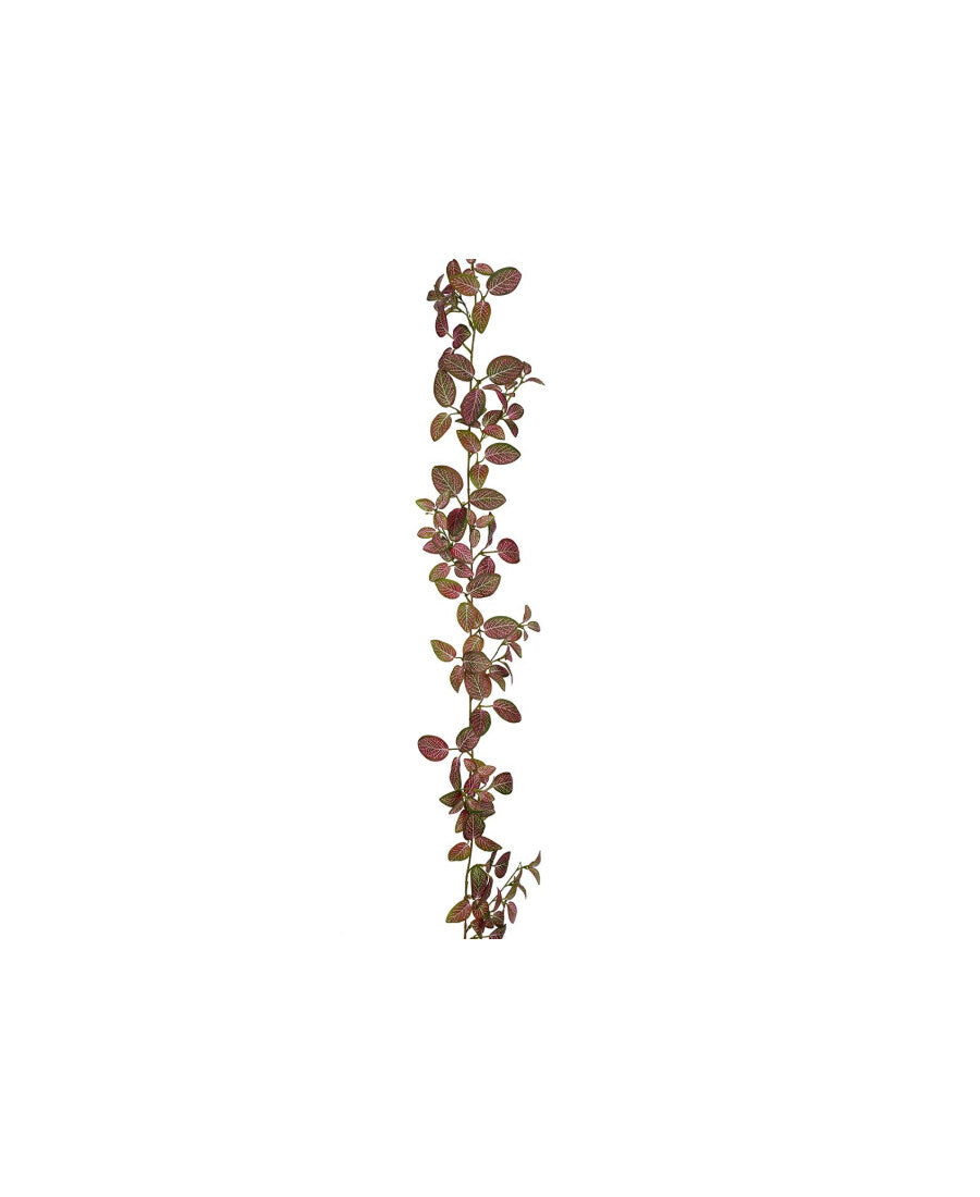 Fittonia girlang rosa/grön 180 cm