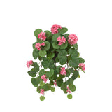 Hängpelargon konstväxt rosa 50 cm