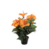 Hibiscus konstväxt orange 36 cm
