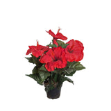 Hibiscus konstväxt röd 36 cm