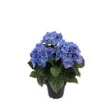 Hortensia konstväxt blå 30 cm