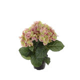 Hortensia konstväxt grön/ljusrosa 30 cm